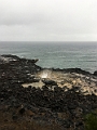 Kauai161