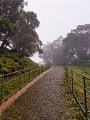 Kauai209