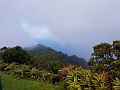 Kauai219