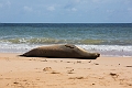 Kauai242
