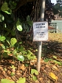 Kauai263