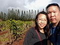 Kauai272