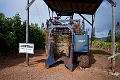 Kauai274