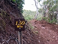 Kauai313