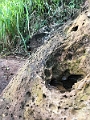 Kauai314