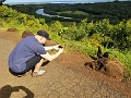 Kauai332