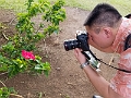 Kauai354