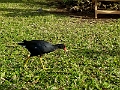 Kauai355