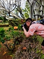 Kauai356