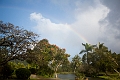 Kauai361