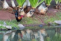 Kauai371