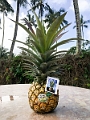 Kauai455