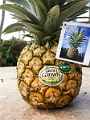 Kauai456