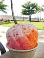 Kauai462