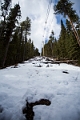 SulphurMountain003