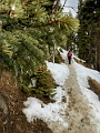 SulphurMountain021