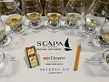 Scapa004