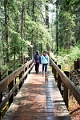 Banff041