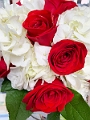 SusanSteveWedding001