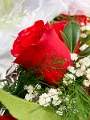 SusanSteveWedding002