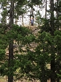 Kelowna041