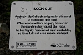 Kelowna097