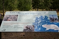 Kelowna153