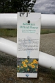 Kelowna183
