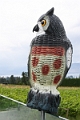 Kelowna665
