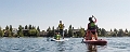 SUPing006