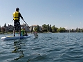 SUPing008