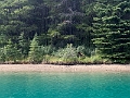 SUPing048