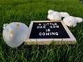 LeungMaternity063