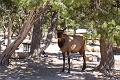 Canyons082