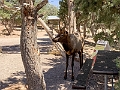Canyons083