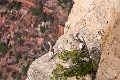Canyons157