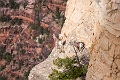 Canyons159