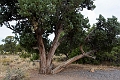 Canyons223