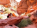Canyons334