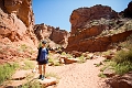 Canyons337