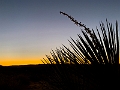 Canyons467