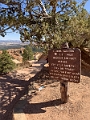 Canyons497