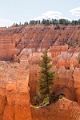 Canyons518