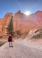 Canyons524