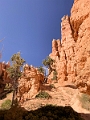 Canyons543