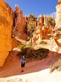 Canyons544