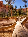 Canyons581