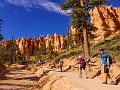 Canyons583