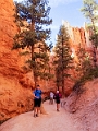 Canyons593