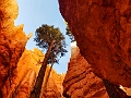 Canyons596
